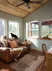 Living Room with Cat Image